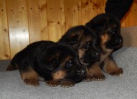 /album/a20-days/stence-e-vrh-056-jpg/